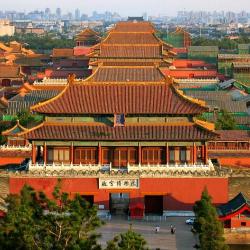Bí mật đằng sau "thủ phủ đá gà" lớn nhất miền Trung
